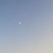 りんごの画像