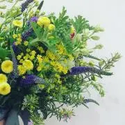 もちこ