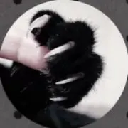 ✮プロフ必読の画像