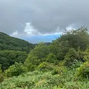 モリ