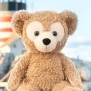 なんちゃんの画像