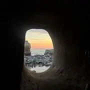 たかの画像