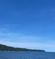 ルーシーの画像