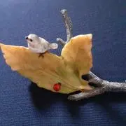 makoの画像