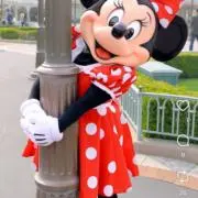 ミニーの画像