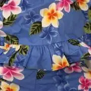 akiの画像