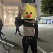 蒼の画像