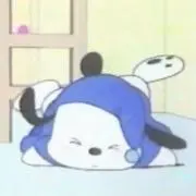 もぴの画像