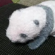 パンダンダ