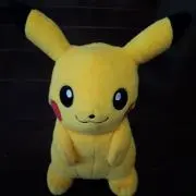 みーの画像