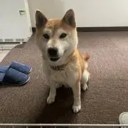 ◎◎の画像
