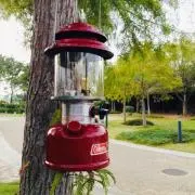 トゥティーの画像