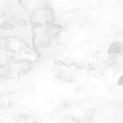 鈴白の画像