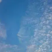 ふゆうの画像