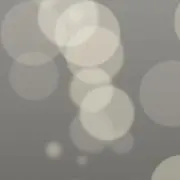 やまだの画像