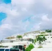 カボチャ