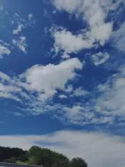 咲くの画像