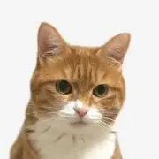 ぴなっち