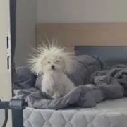 との画像