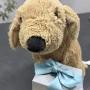 ゆう