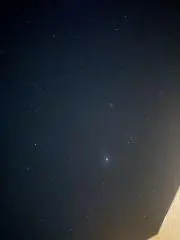 ひまわりの画像