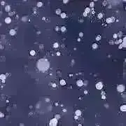 Yomelの画像