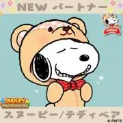 yoshyyoshyyoshyの画像