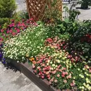 滝パパ^_^の画像