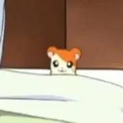 ひよっこ