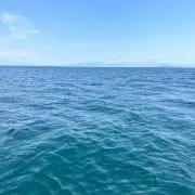 LLLの画像