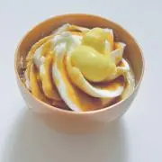 さめの画像