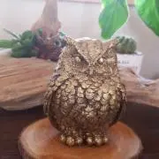 HiroHiroの画像