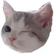 だの画像