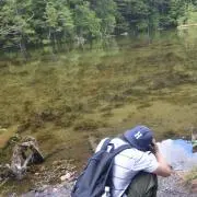 もーりー