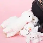 ポカリ*即購入可の画像