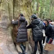 momoの画像