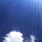 ソフティ
