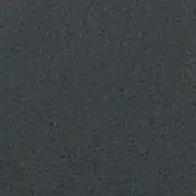あひるの画像