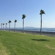 508の画像
