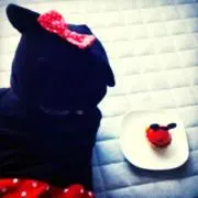 blueflowersの画像