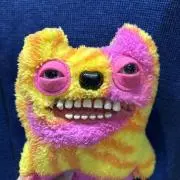 はっさくの画像