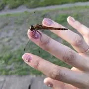 NARICOの画像