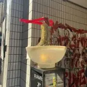 Coconutsの画像