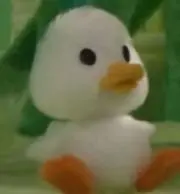 いんこの画像