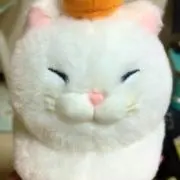 かんろ♪  圧縮簡易包装の画像