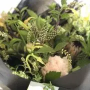 aiiiiiの画像