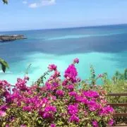 .AKI. プロフ必読の画像