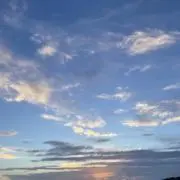 Hの画像