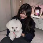 토끼の画像