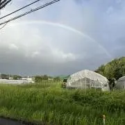 ただ今、断捨離中…
